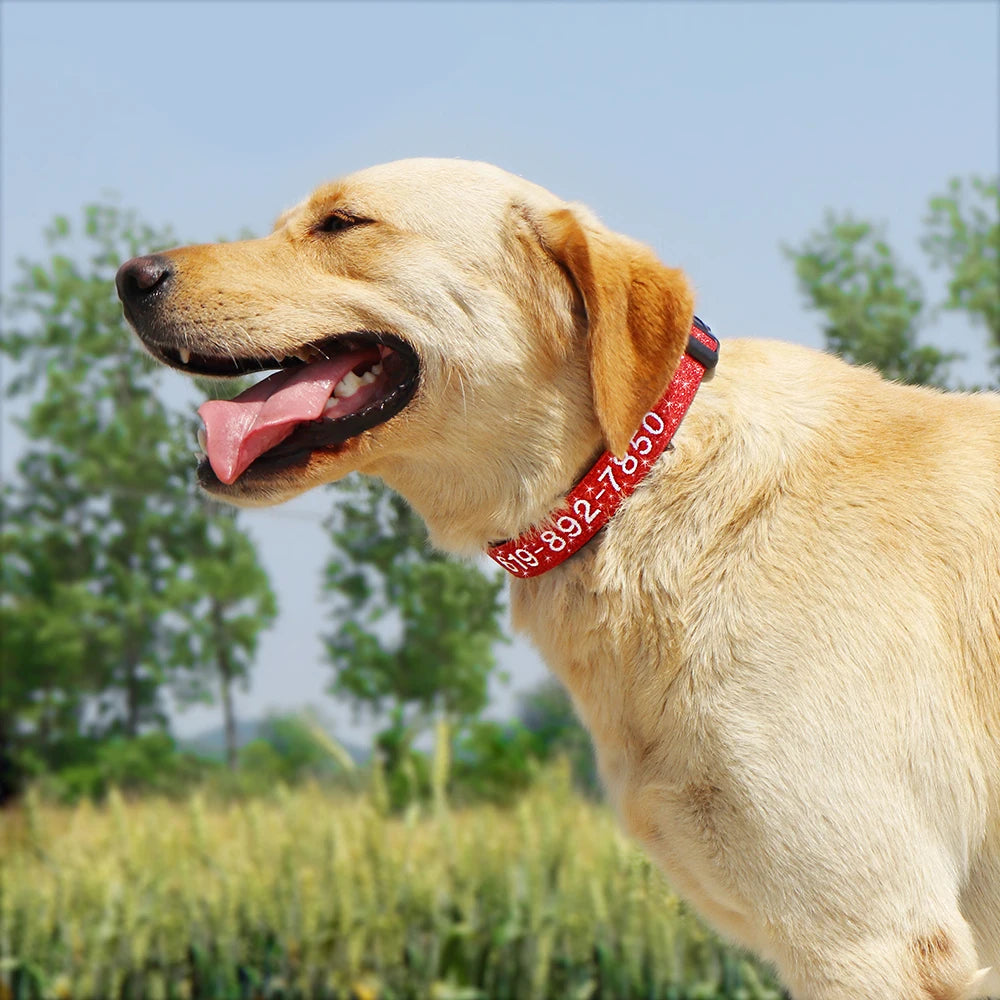Adjustable Nylon Embroidered Dog Collar Custom ID Name Accessories Pet Collars for Small Medium Large Dogs Pets Supplies Perro